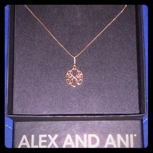 Original Alex and Ani necklace
